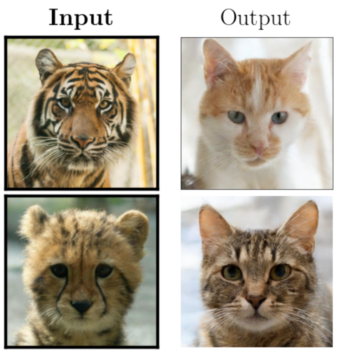 FDBM unpaired image translation: wild → domestic cat